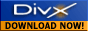 Download DivX